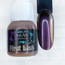 OneAir® Paints "Chameleons" (5x6ml)